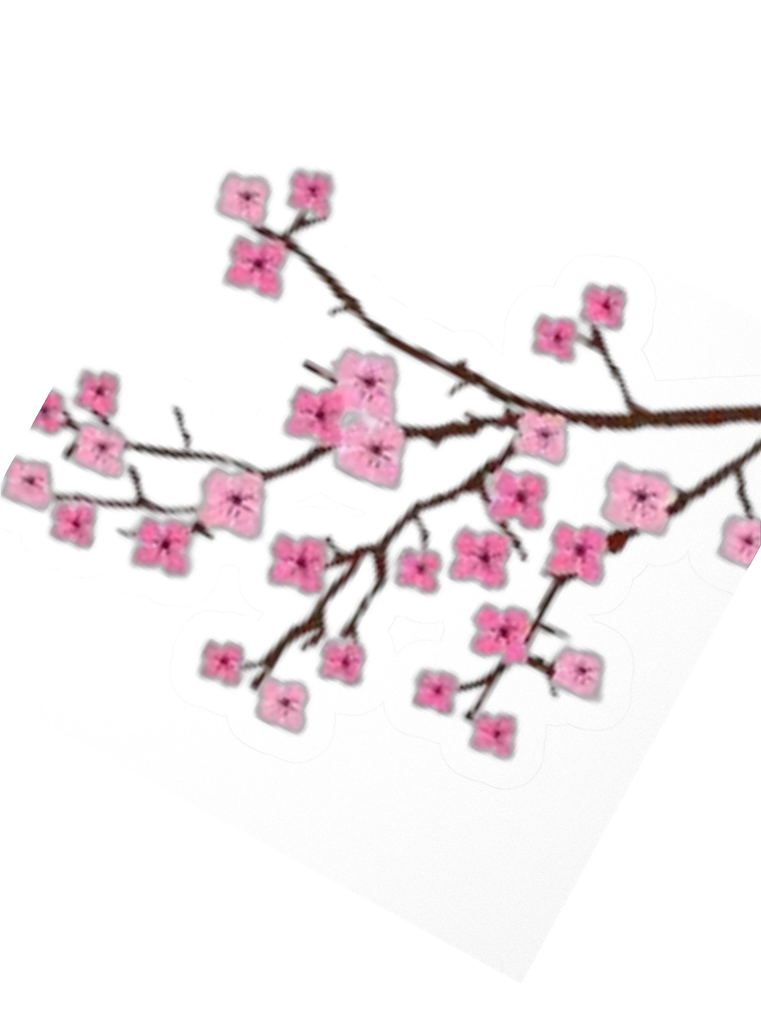 cherry blossom sticker product image (8)