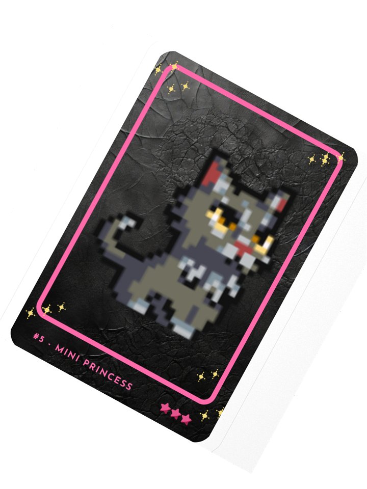 Channel Card 5 - Mini Princess product image (2)