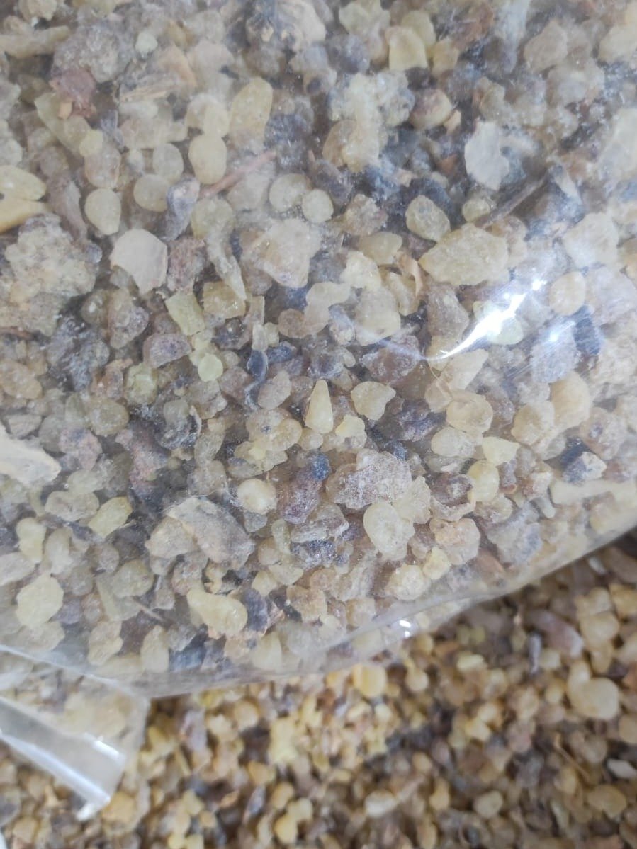 Frankincense Resin (Boswellia sacra, Oman) product image (1)
