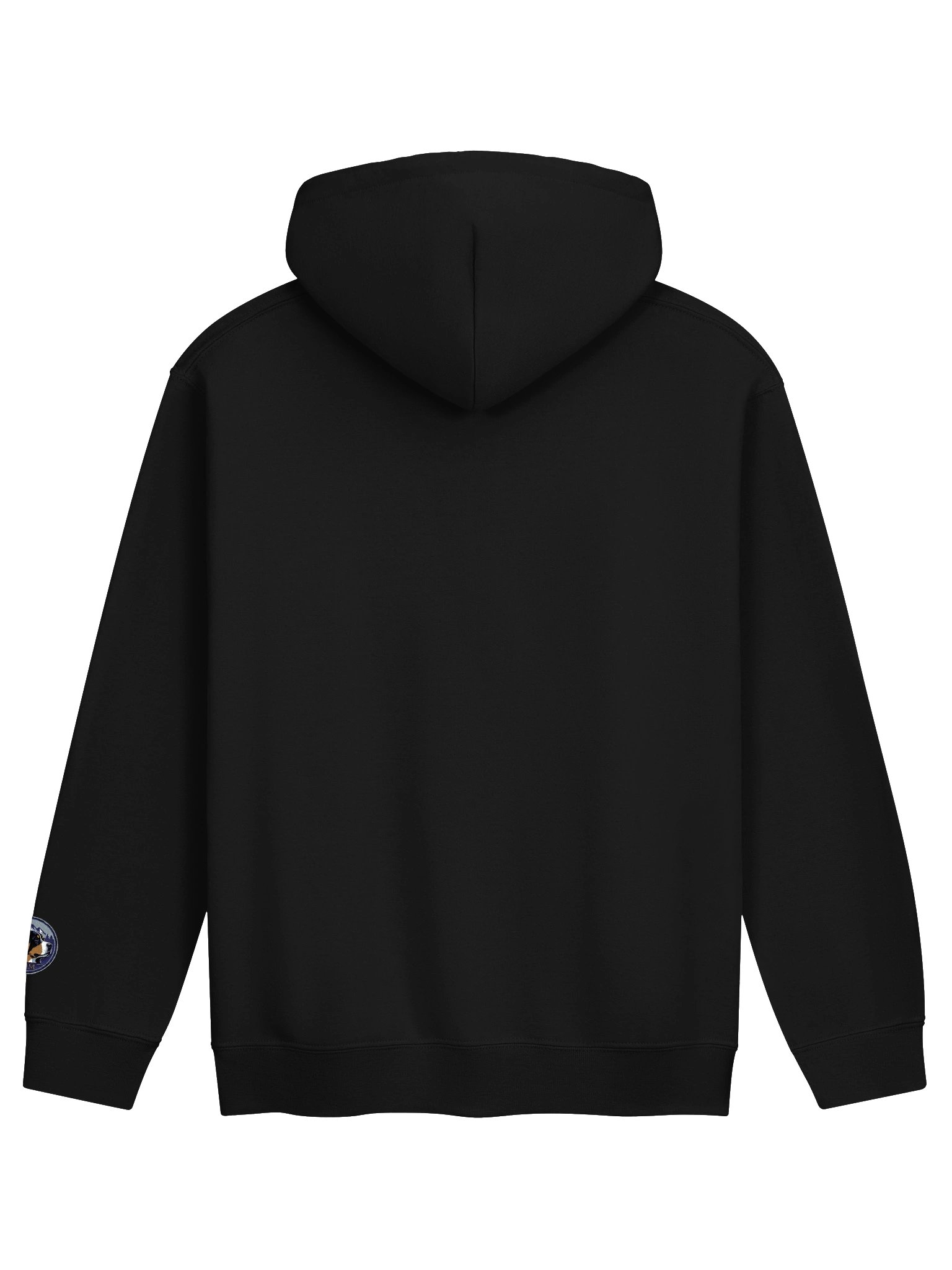 Final Draft Hoodie in Black product image (2)