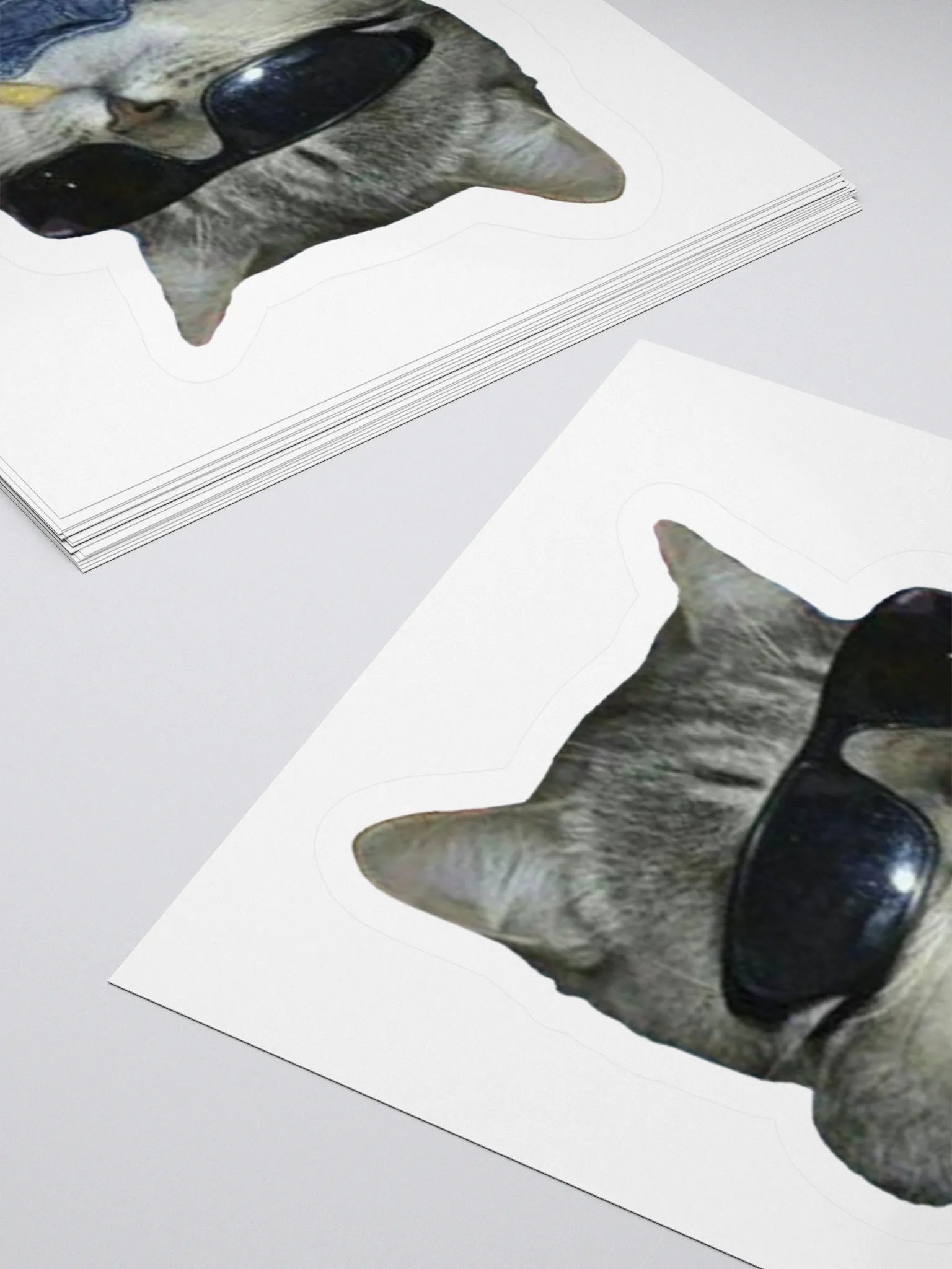 Cool Cat Sticker product image (11)
