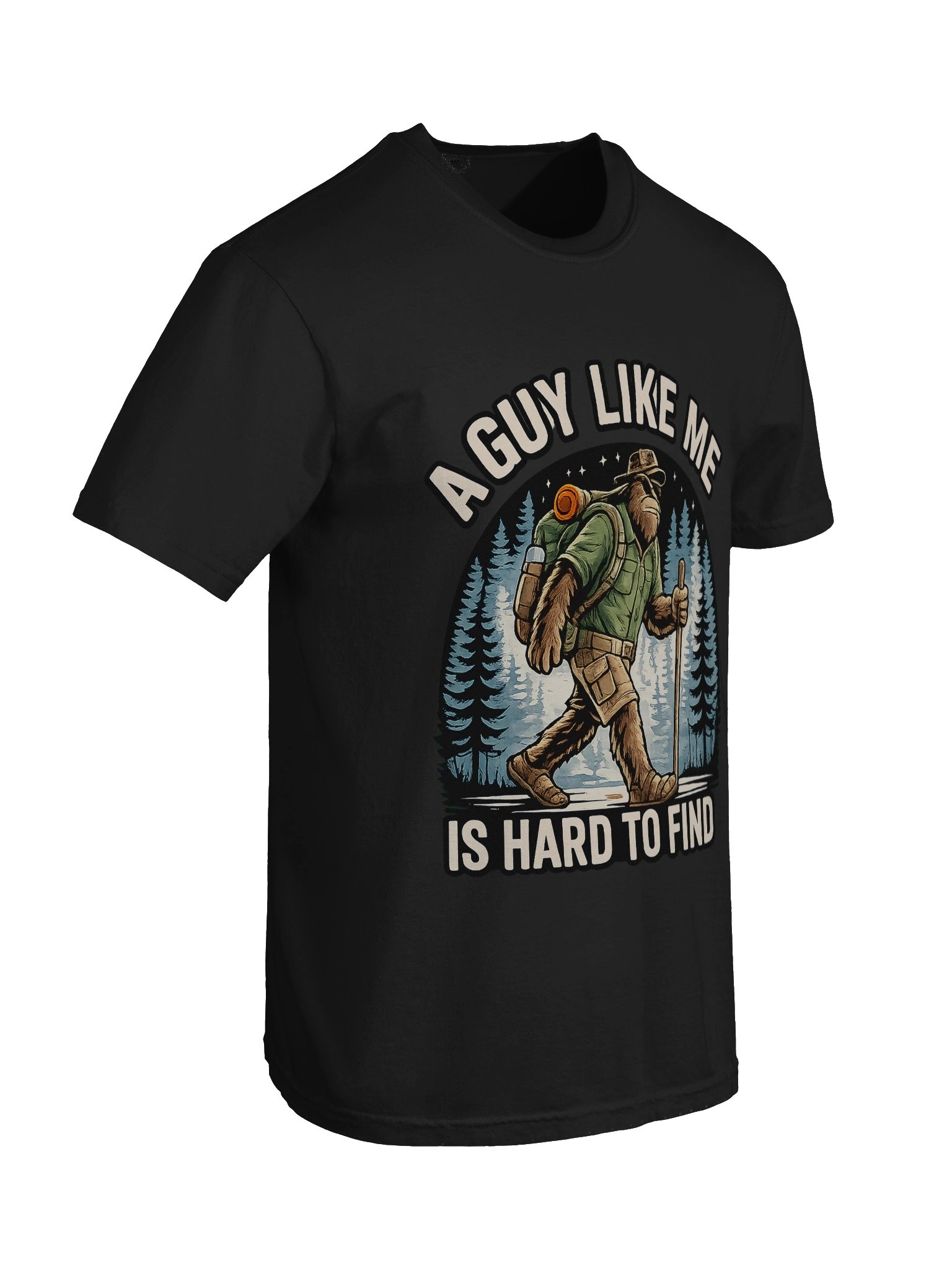 A Guy Like me is hard to find product image (54)