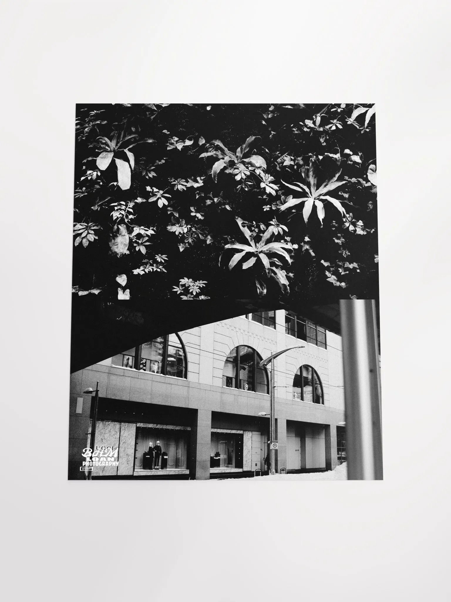 CONCEPT: NOIRÉ product image (4)