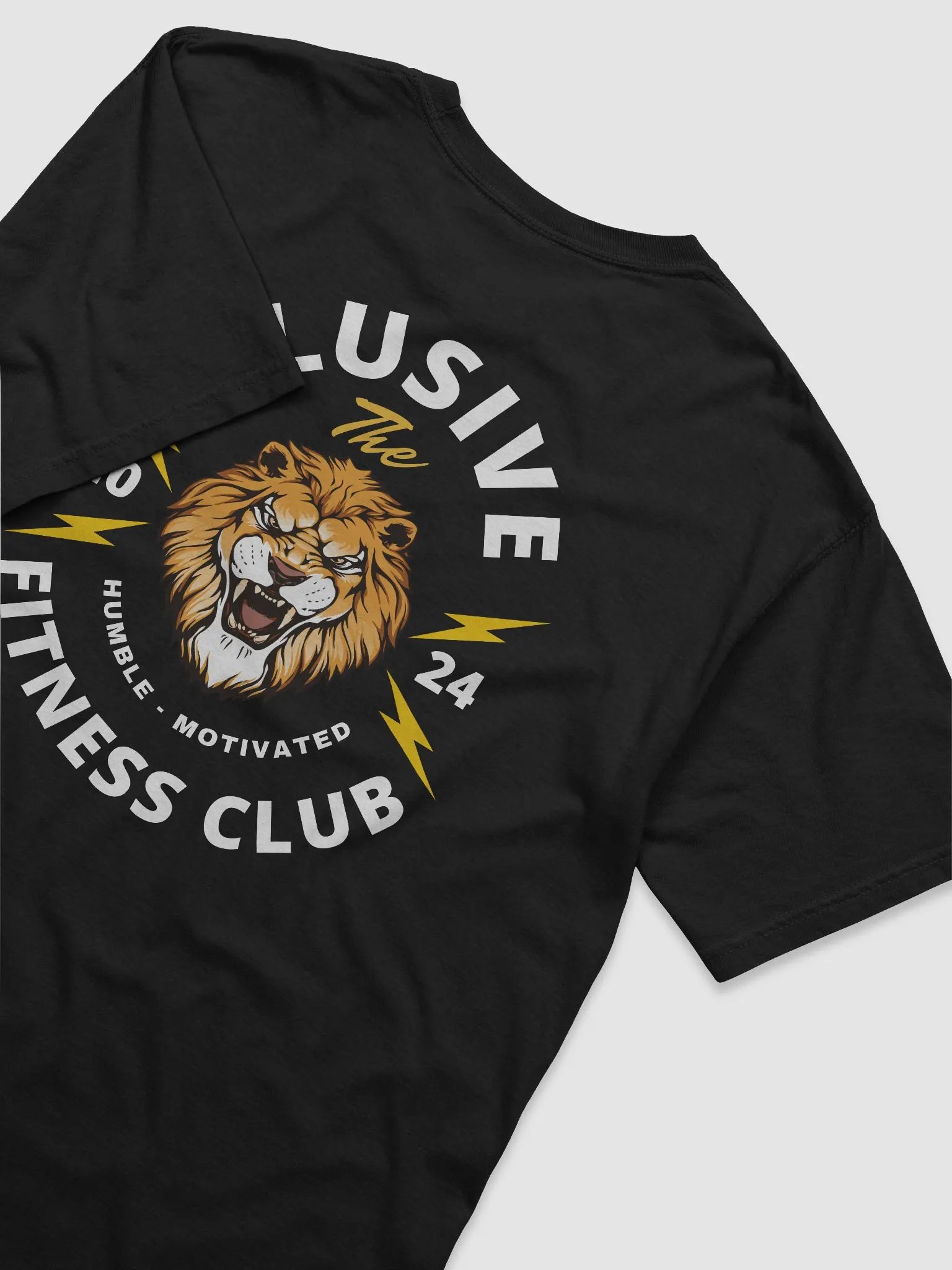 Electric Fight Heavyweight T-Shirt product image (4)