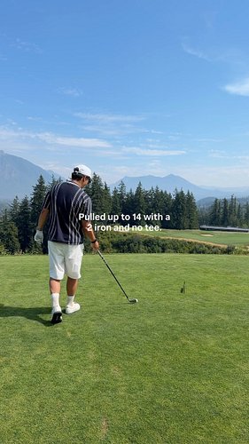 What would you have used? 

#golfswing #golfshot #golftips