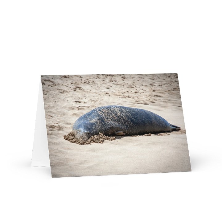 Sandy Seal Greeting product image (1)