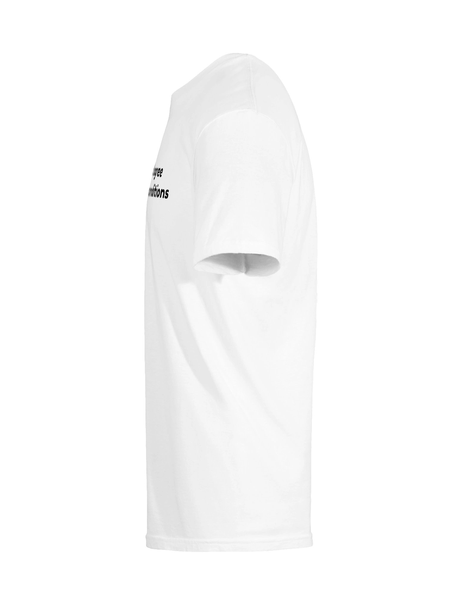 Terms and Conditions T-Shirt product image (9)