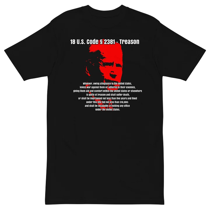 Treason Graphic Art Tee product image (2)