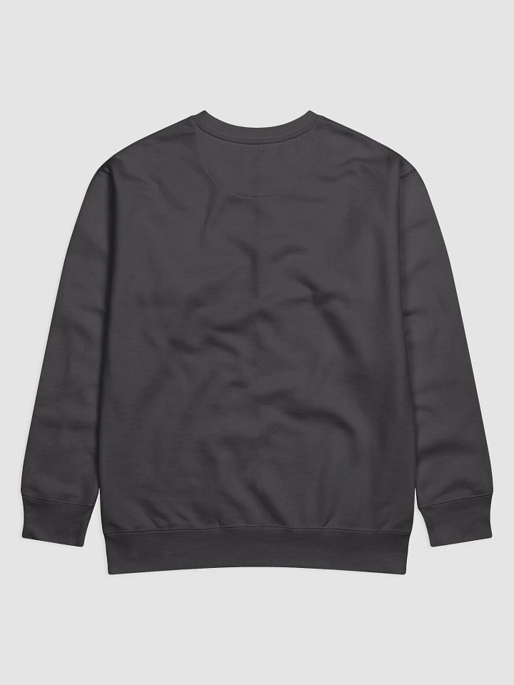 Sweatshirt II product image (9)