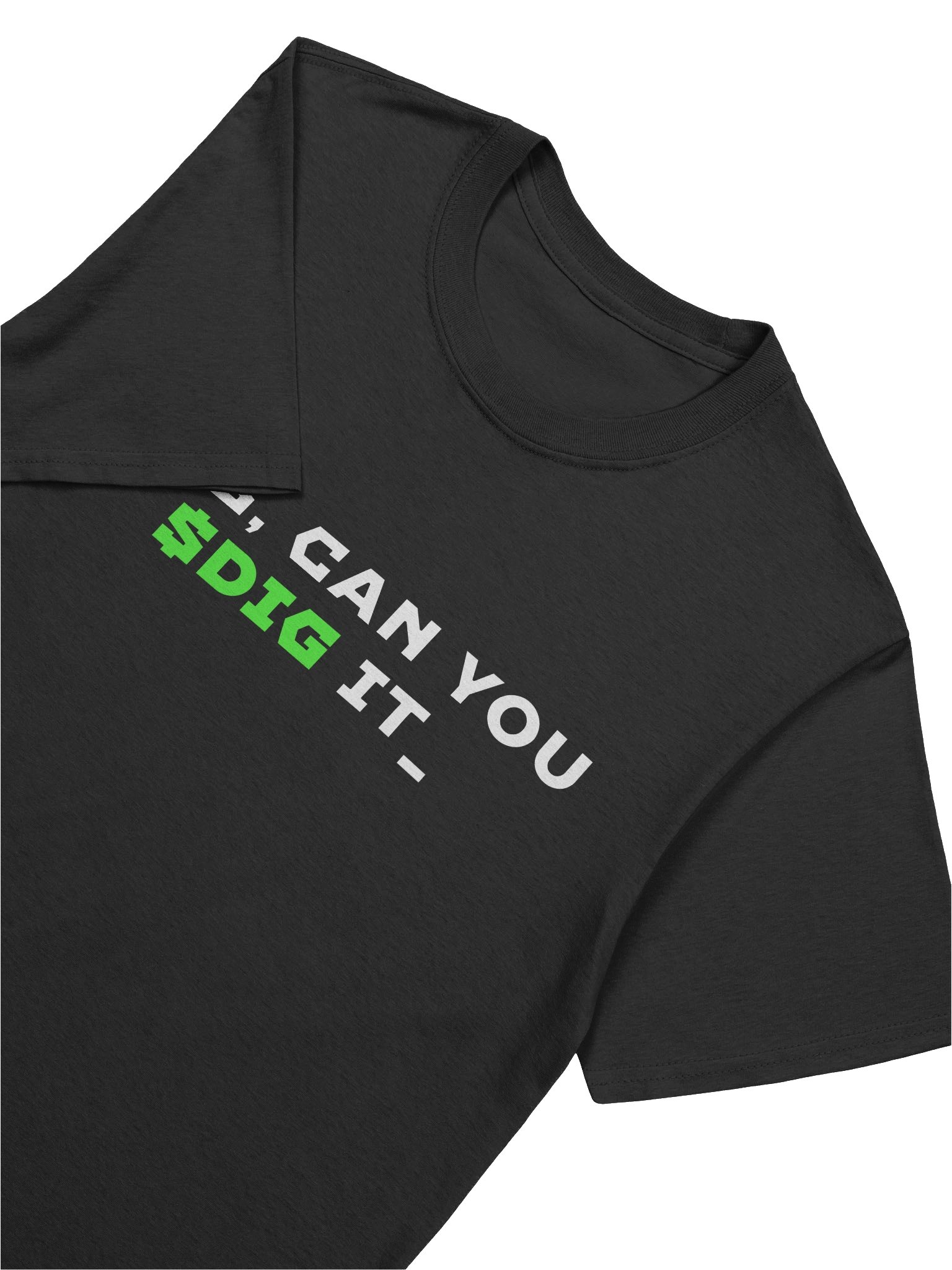DNS - Can you Dig It? product image (7)