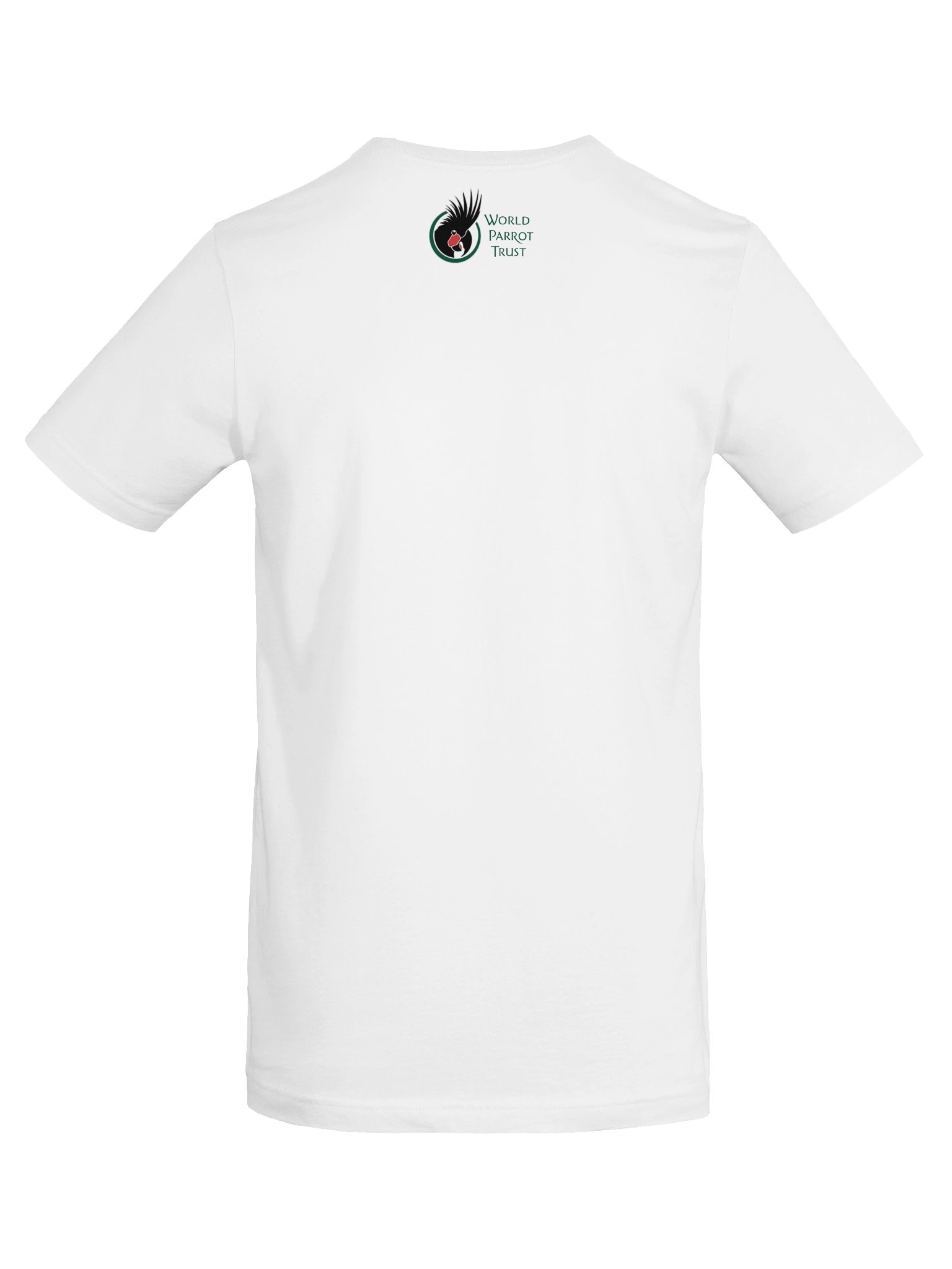 Big Wings, Bold Spirit! Unisex T-Shirt (light) product image (3)
