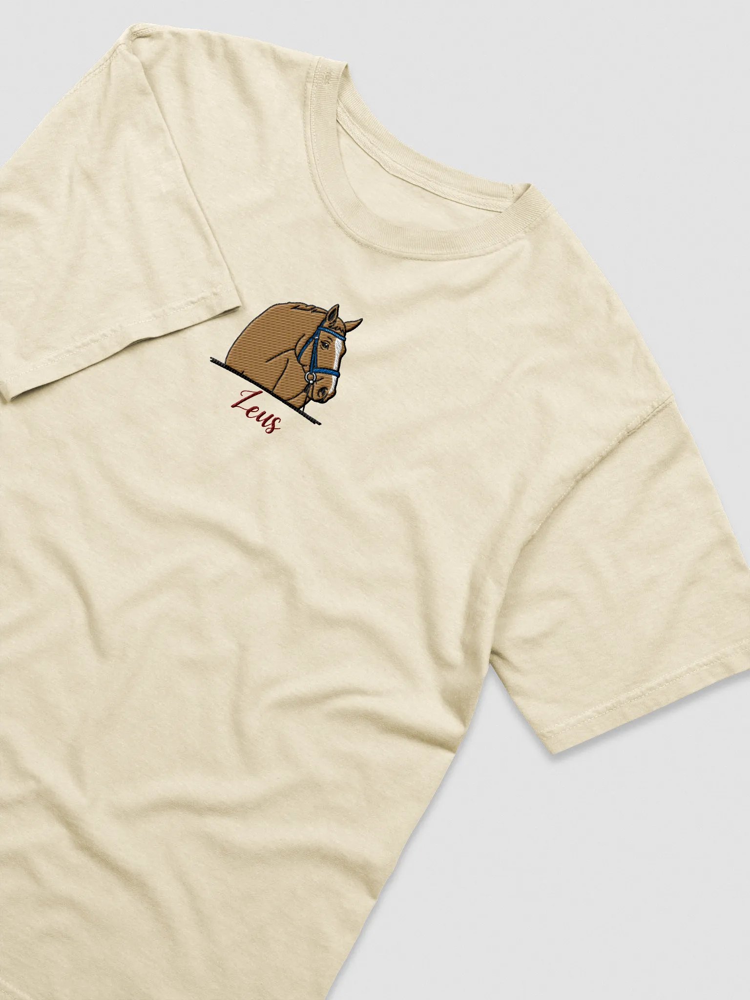YOUR HORSE! / T-SHIRT WITH PERSONALIZED NAME / EMBROIDERED product image (1)