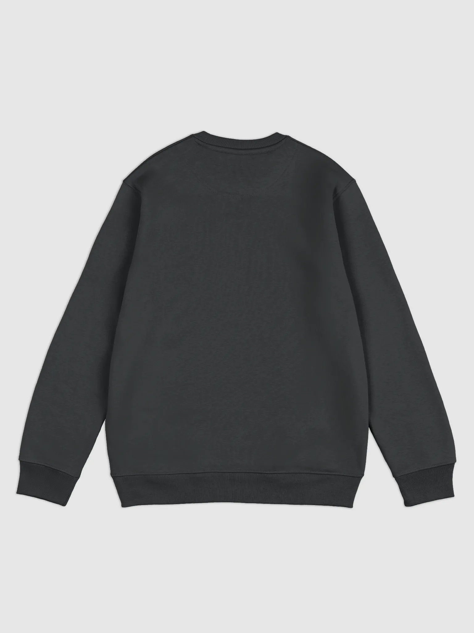 Premium Eco Sweater product image (2)