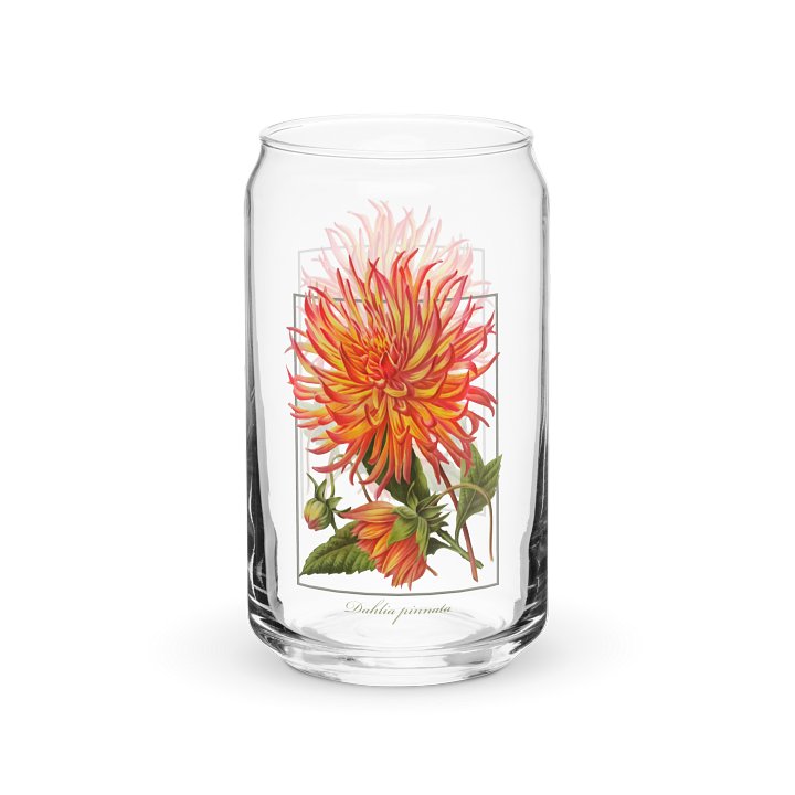 Cactus Dahlia Glass product image (1)