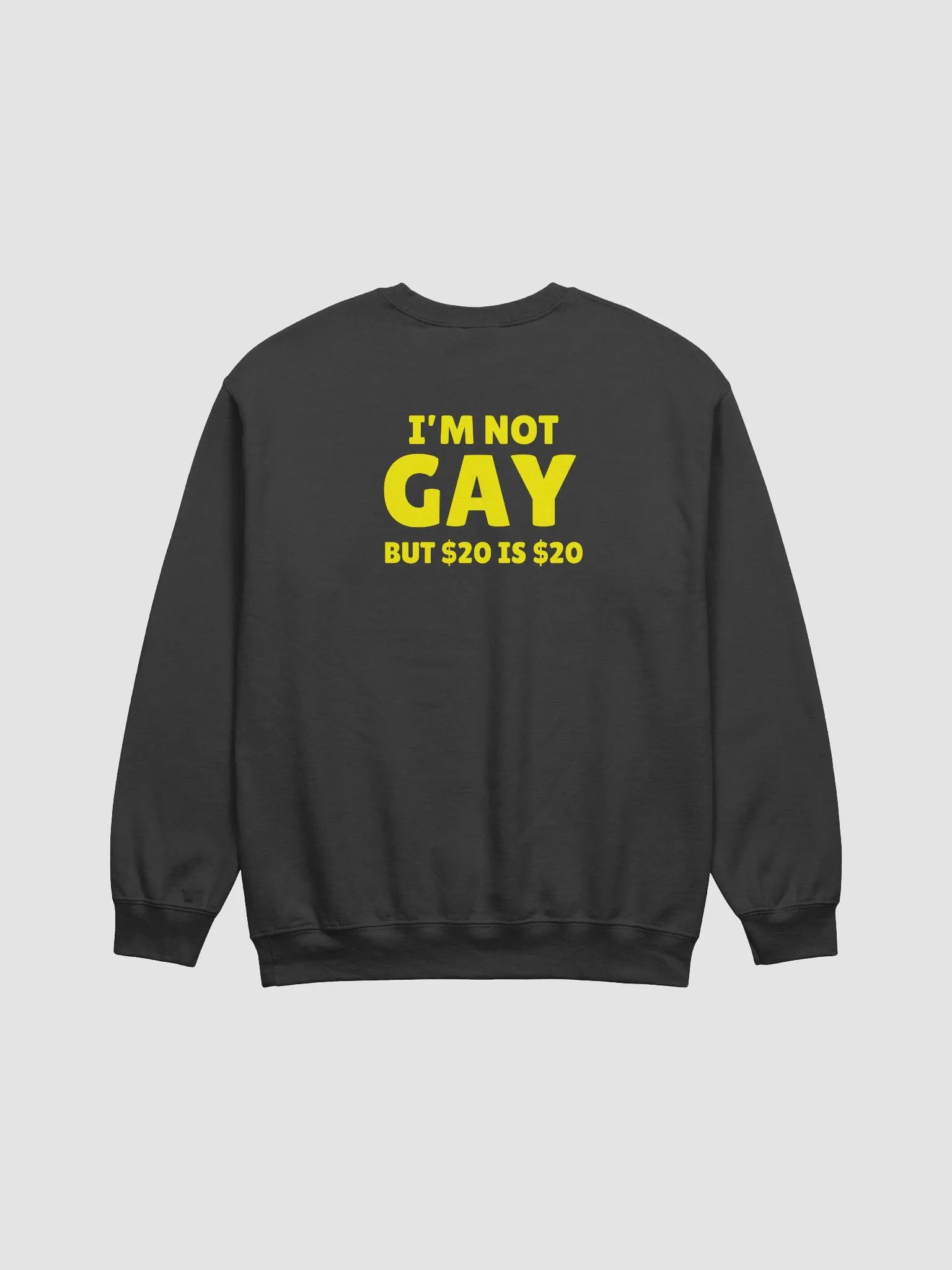 Not Gay But $20 is $20 Back Print Unisex Sweatshirt product image (1)