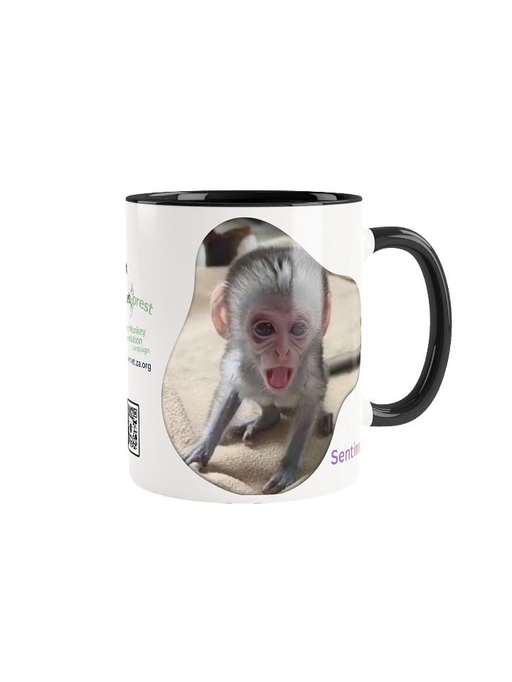 Sentinel mug product image (1)