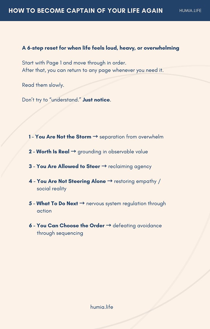 THE LENS RESET product image (1)