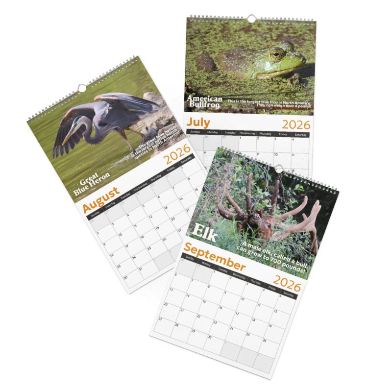 2026 Wall Calendar product image (4)