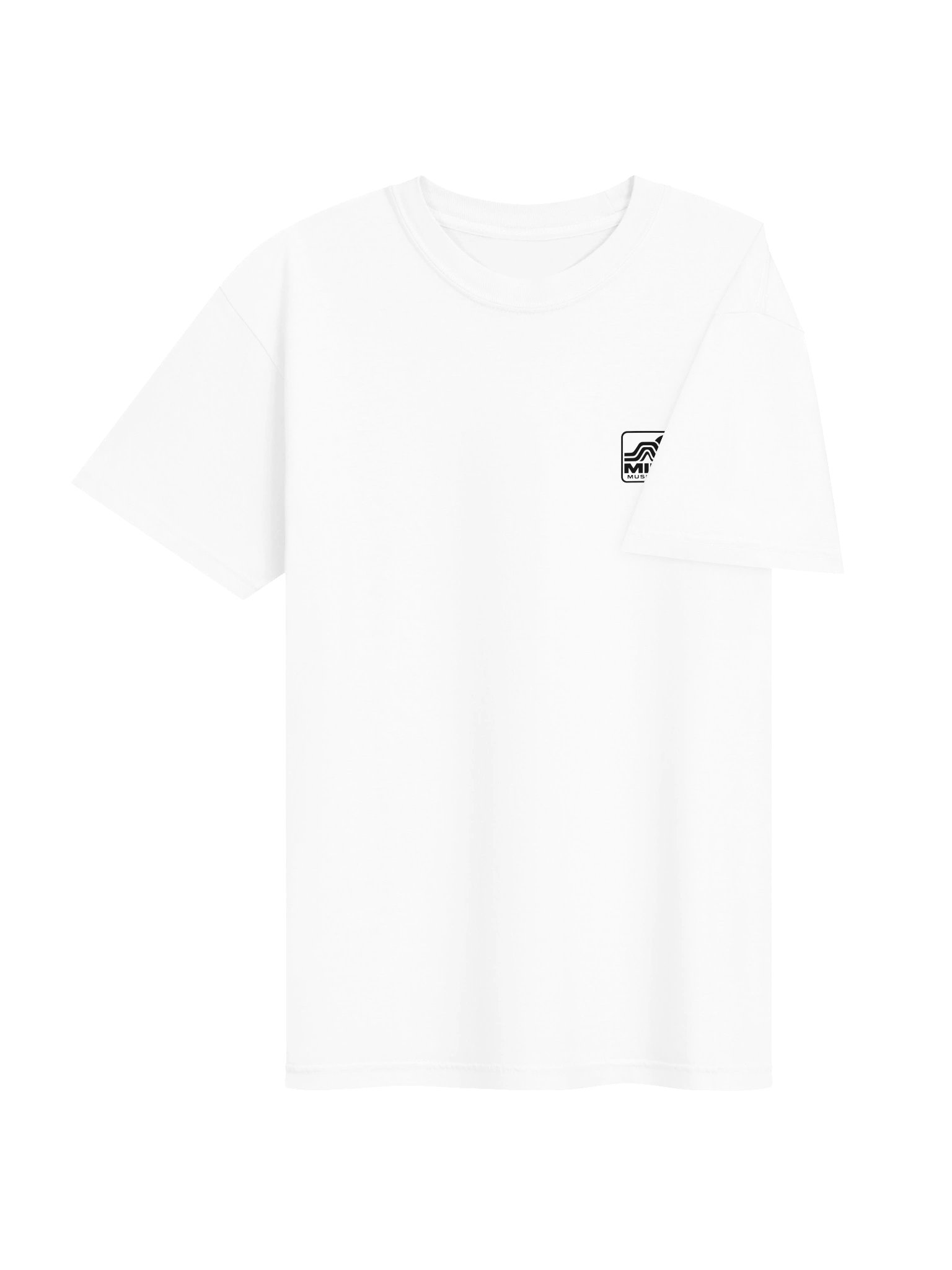 From the Swamp to Your Stereo Tee product image (28)