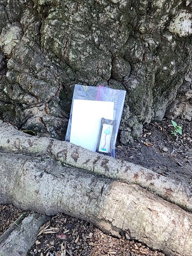 Final drop at Red Hill in Rancho! Please tag me or DM me if you find it!

Happy hunting everyone!!! 🍄

#gameofshrooms2026 @ga...