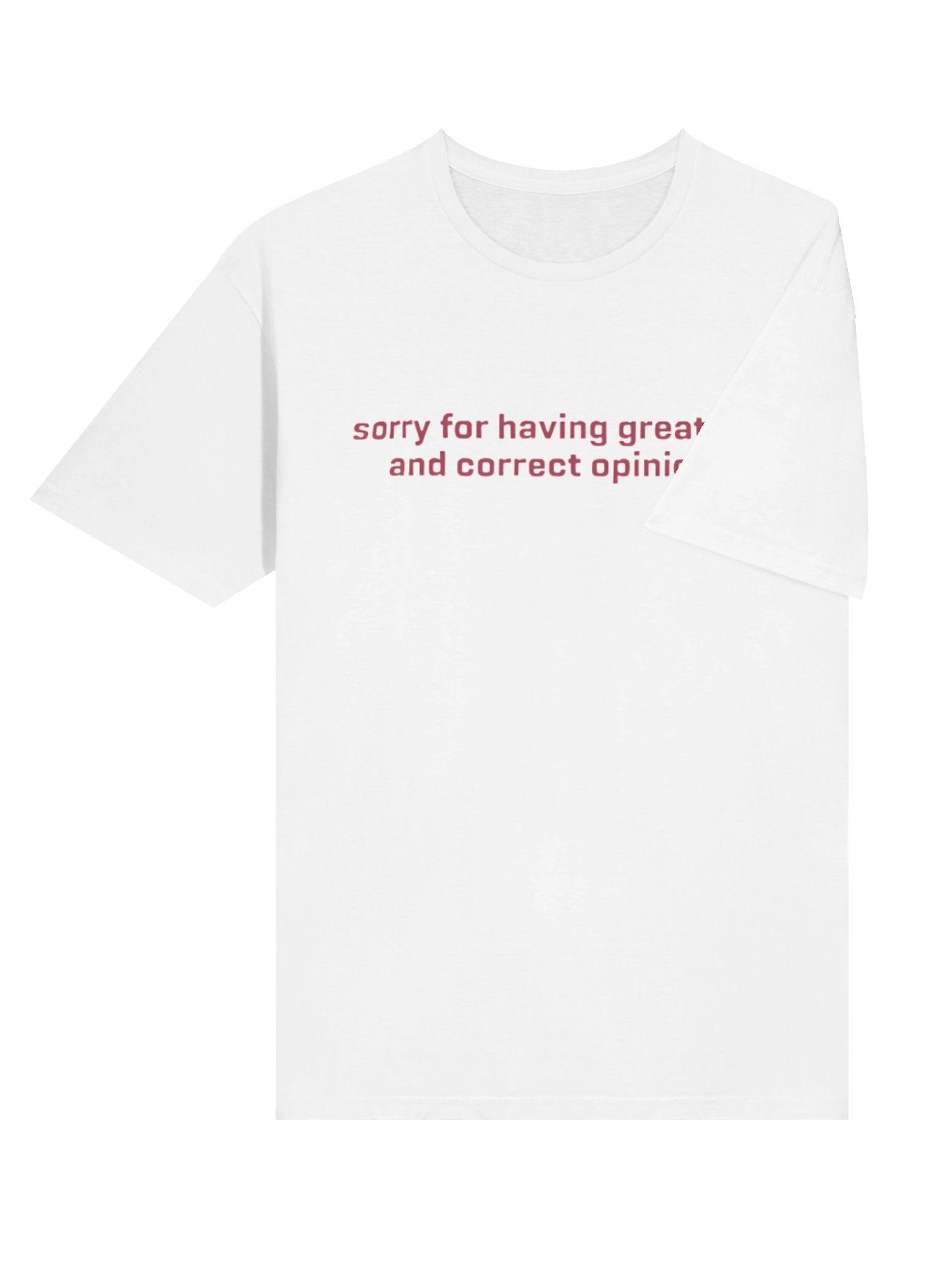 Sorry For Having Great Tits And Correct Opinions Feminist Statement Shirt product image (11)