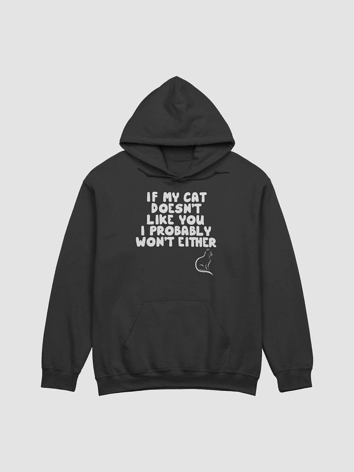 Cat doesn't like you - hoodie product image (6)
