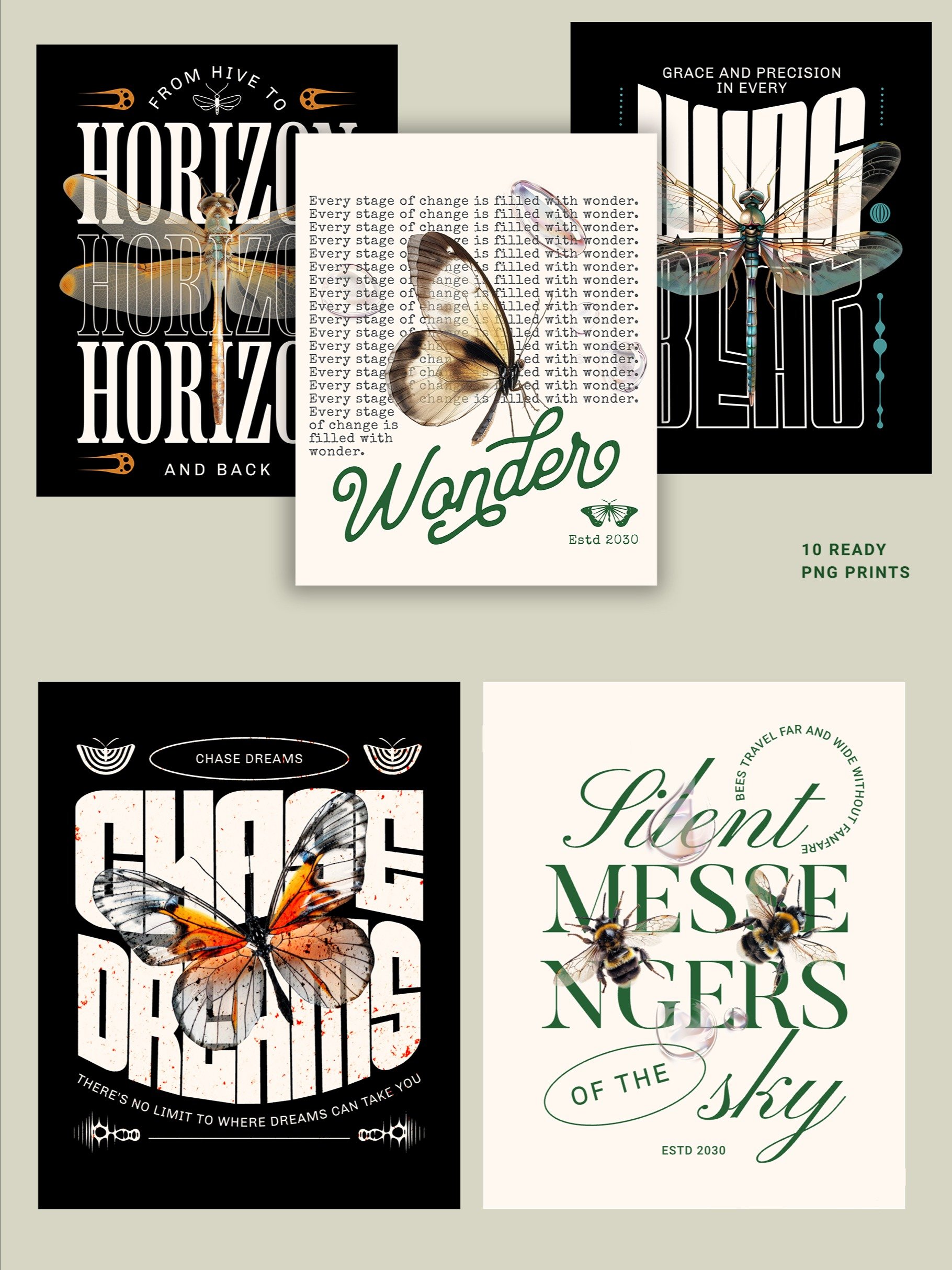 Transparent Wings Contemporary Art product image (4)