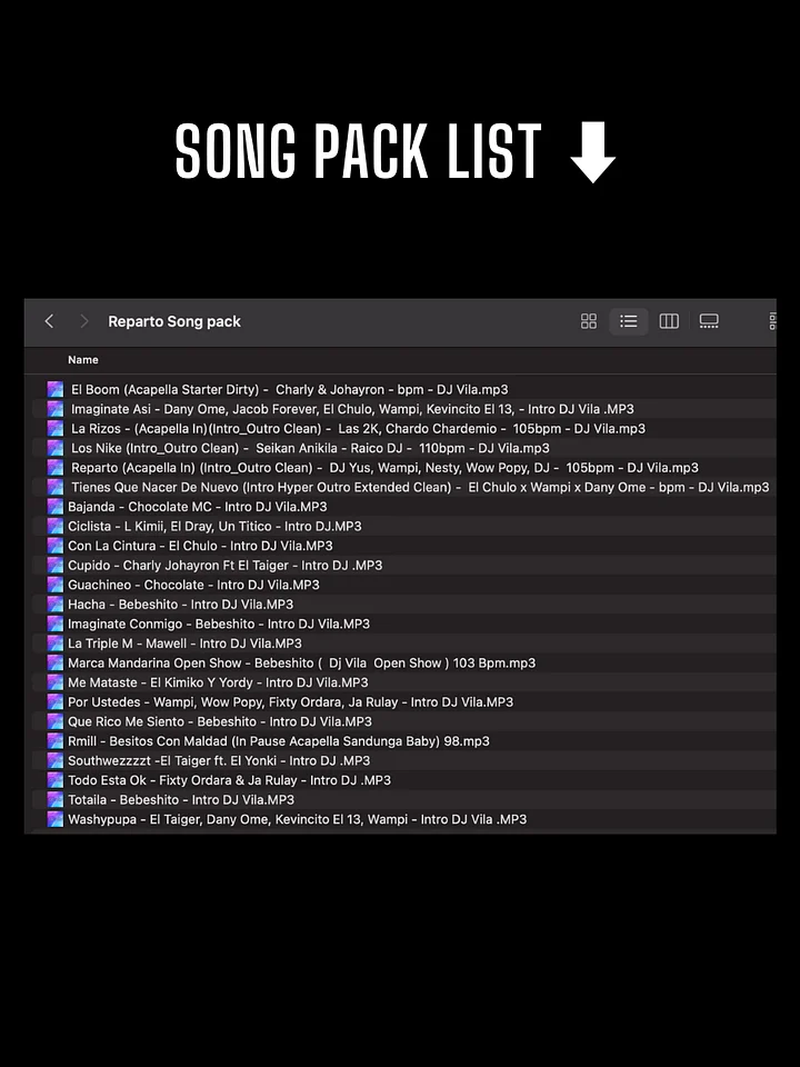 Reparto Mix – Song Pack product image (2)