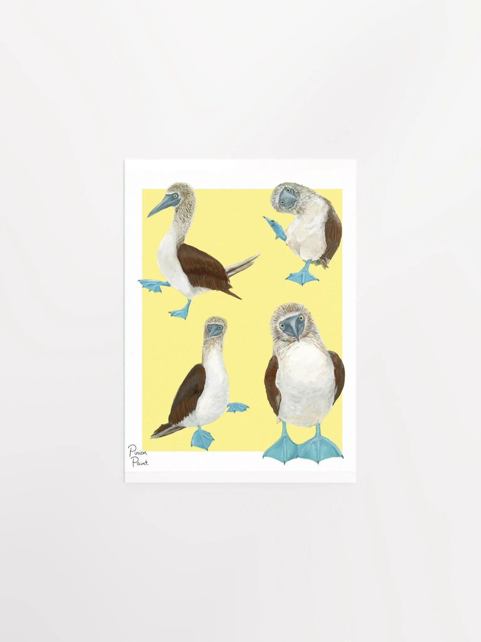 Boobies print product image (1)