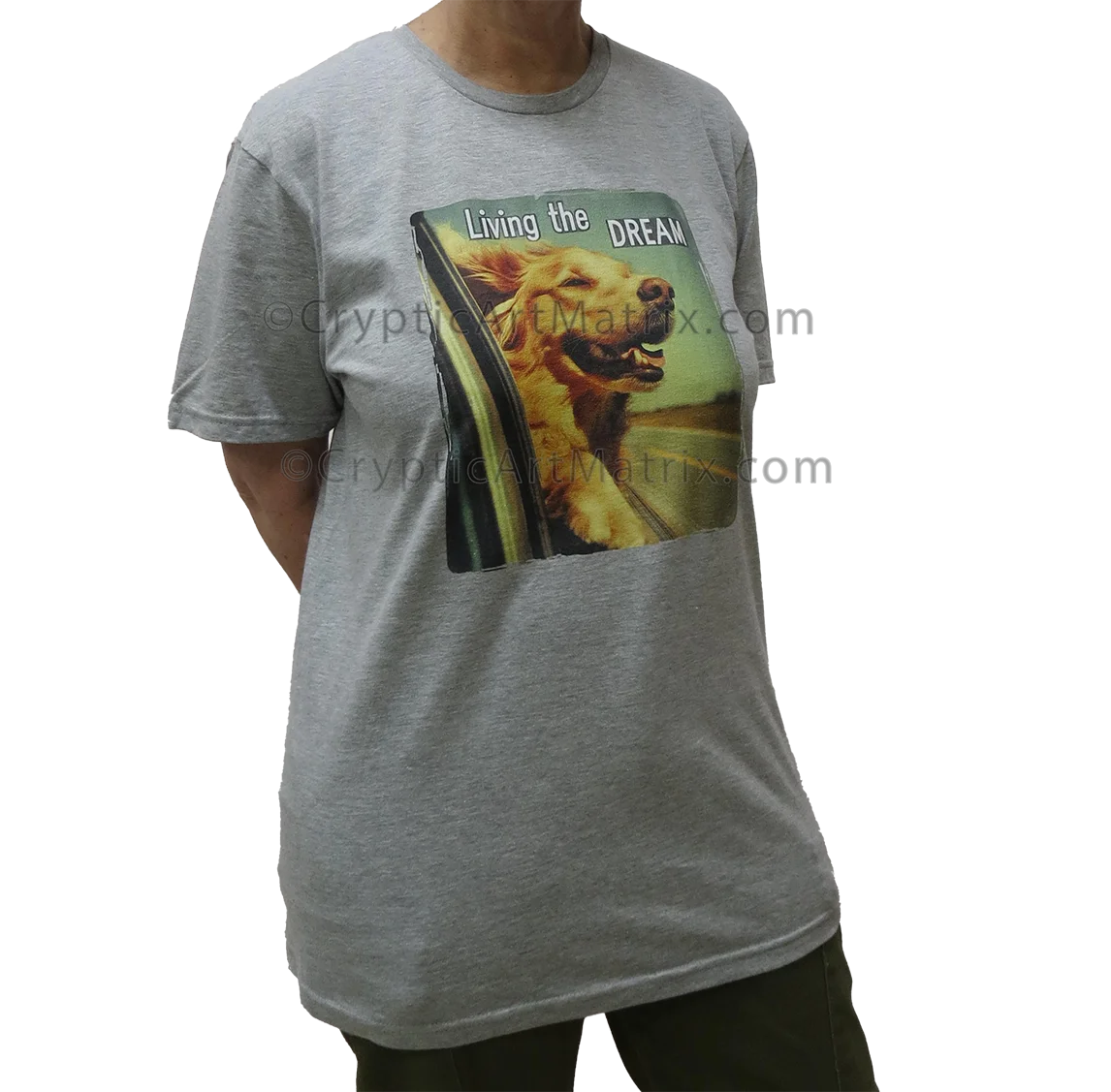 Dream Chaser Living the Dream - Unisex T-Shirt product image (28)