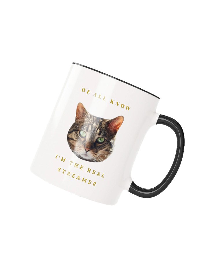 The Real Streamer Mug (Left Handed) product image (2)