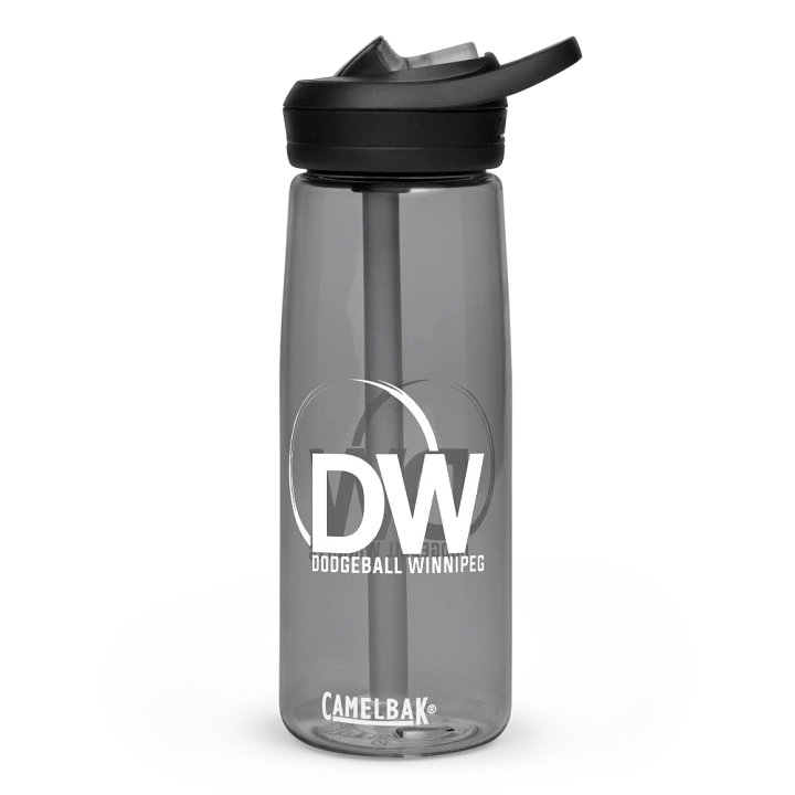 Dodgeball Winnipeg Water Bottle product image (1)