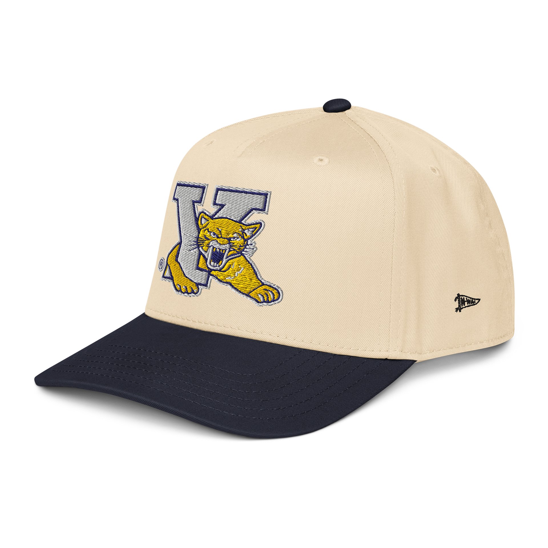 Young Collegiate Mountain Lion Cap product image (3)