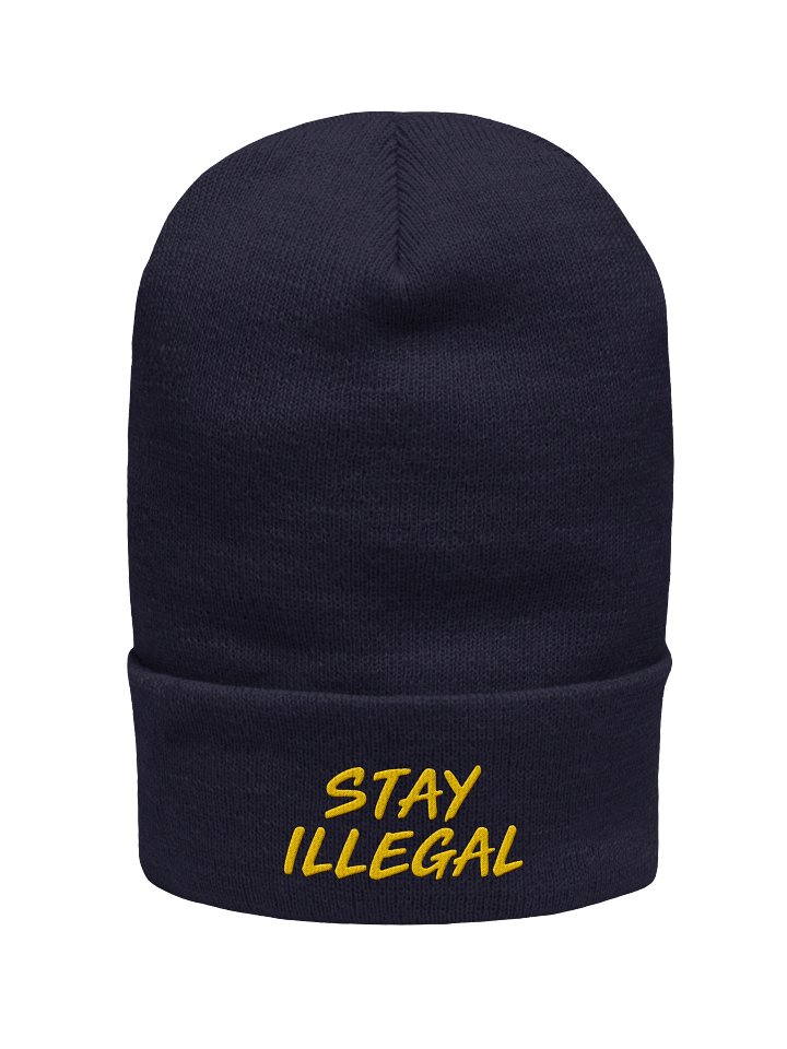 Stay Illegal Embroidered Beanie product image (1)