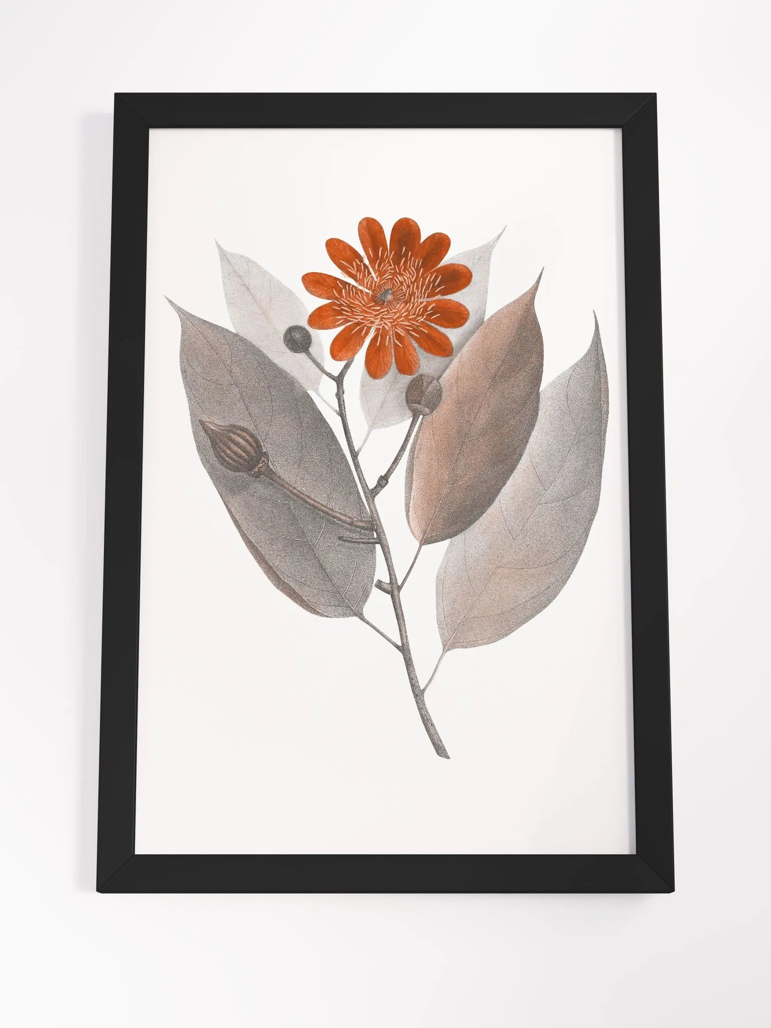Ecotone Rust Flower Framed Print product image (4)