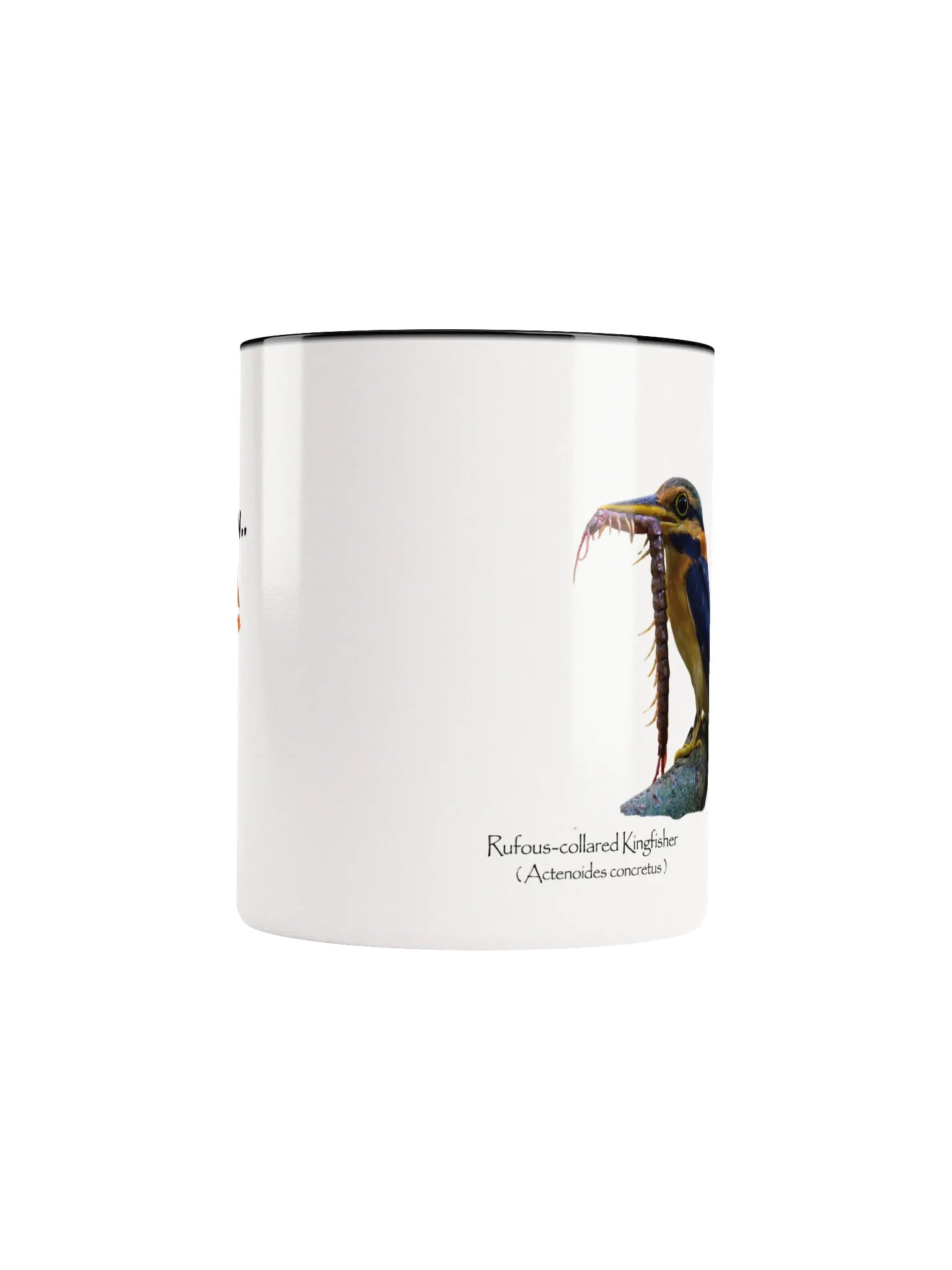 Rufous-collared Kingfisher mug product image (46)