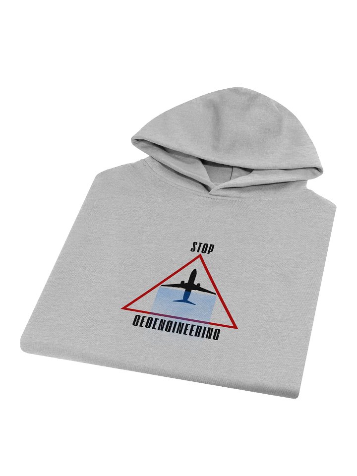 Stop Geoengineering - Oversized Hoodie product image (2)