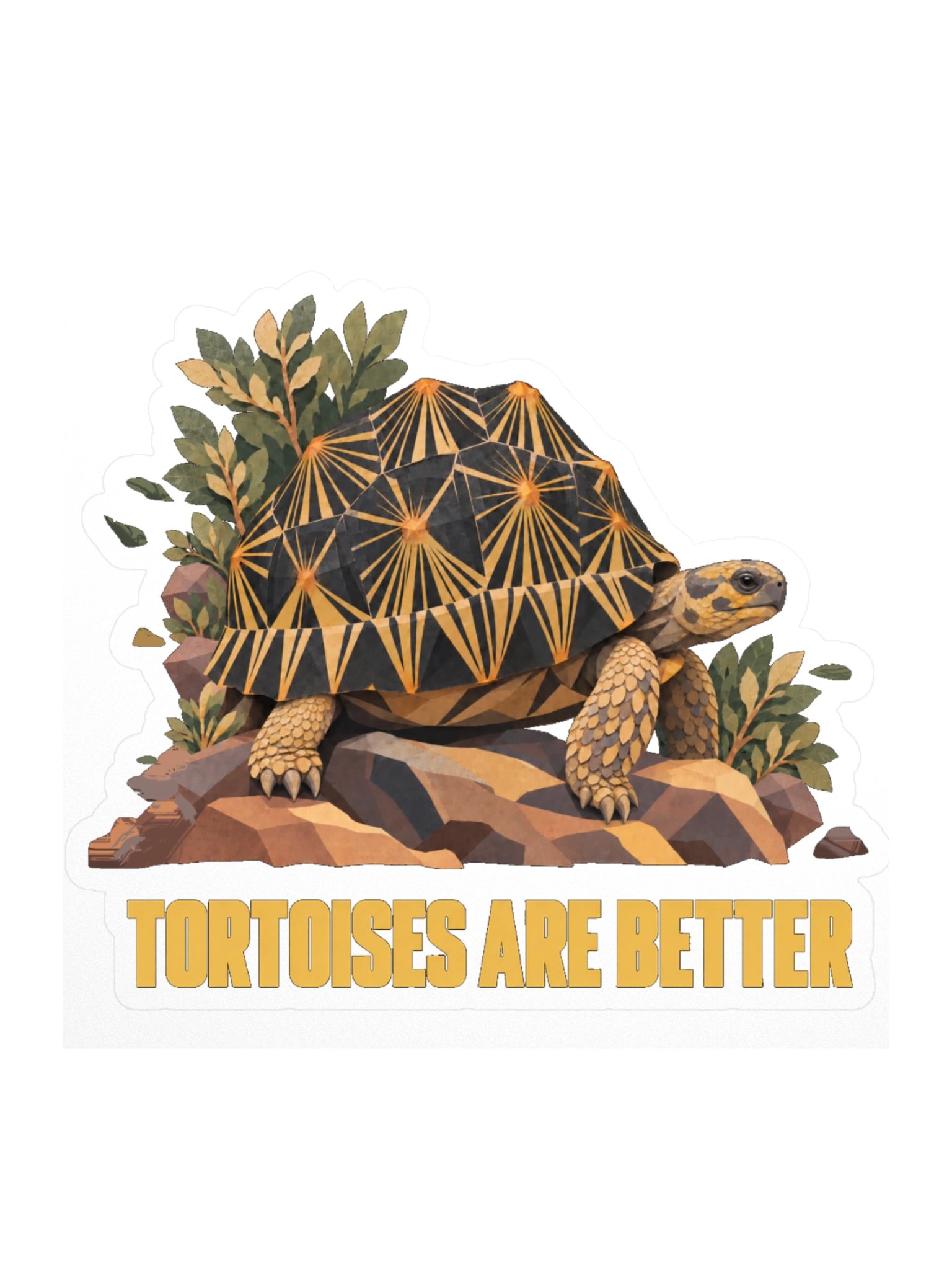 Tortoises are Better product image (1)