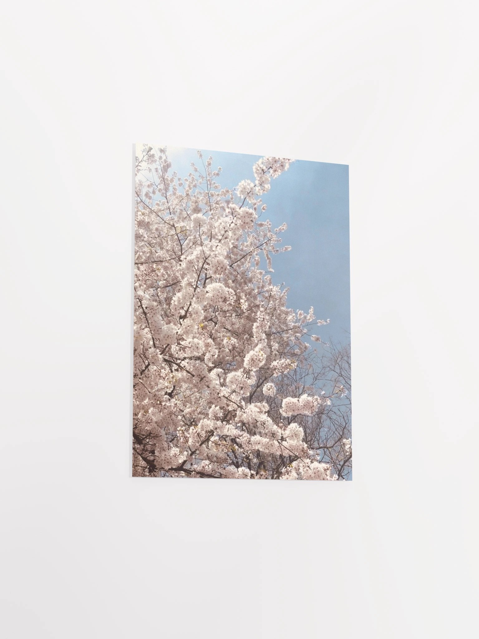Primavera - Enhanced Matte Paper Poster product image (10)