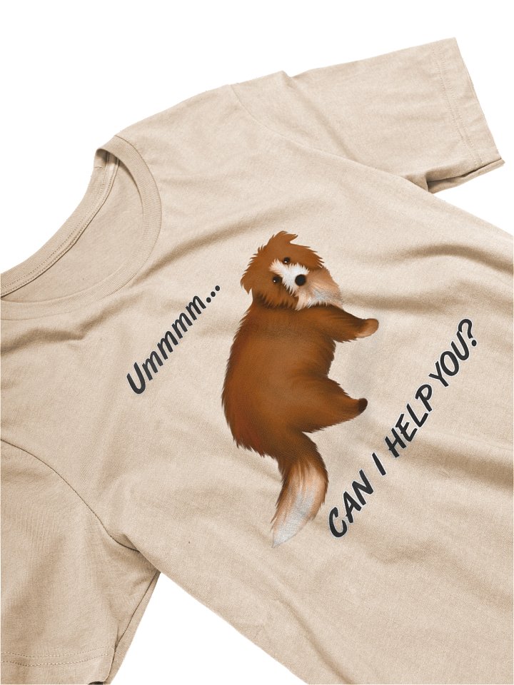 Women's Bella+Canvas Supersoft T-Shirt product image (2)