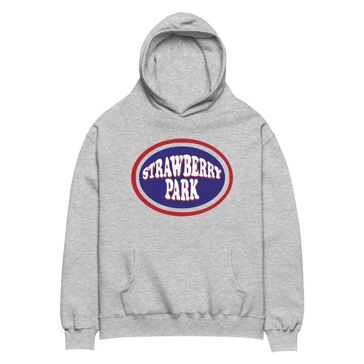 SP Oversized Hoodie product image (2)
