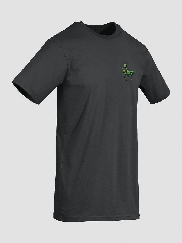 men's heavyweight tee product image (2)