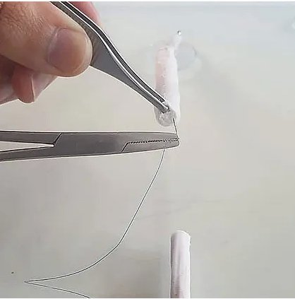 Simulated Silicone Tendons product image (1)