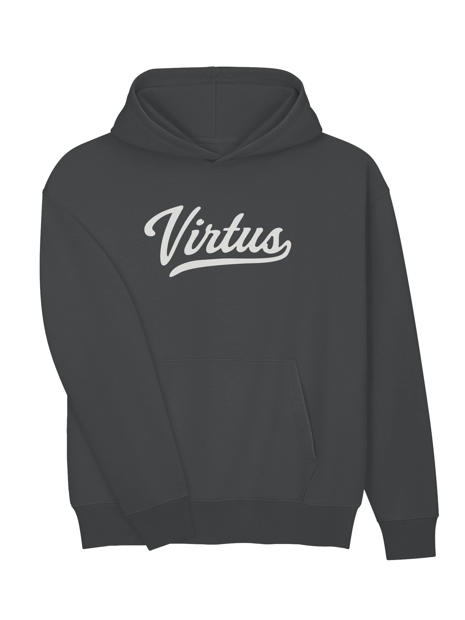 Virtus Script Heavyweight Hoodie product image (11)