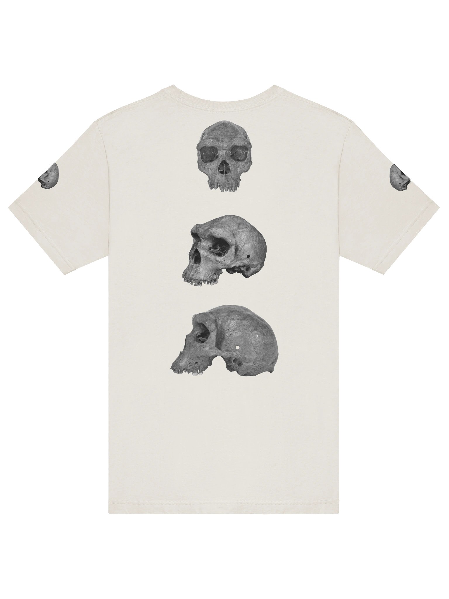 Heidelbergensis Fossil Skull T-Shirt Light product image (36)