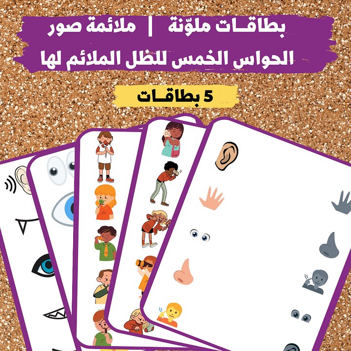 بطاقـــات ملوّنة | ملائمة صور حواسي الخمس للظل المناسب - pdf product image (1)