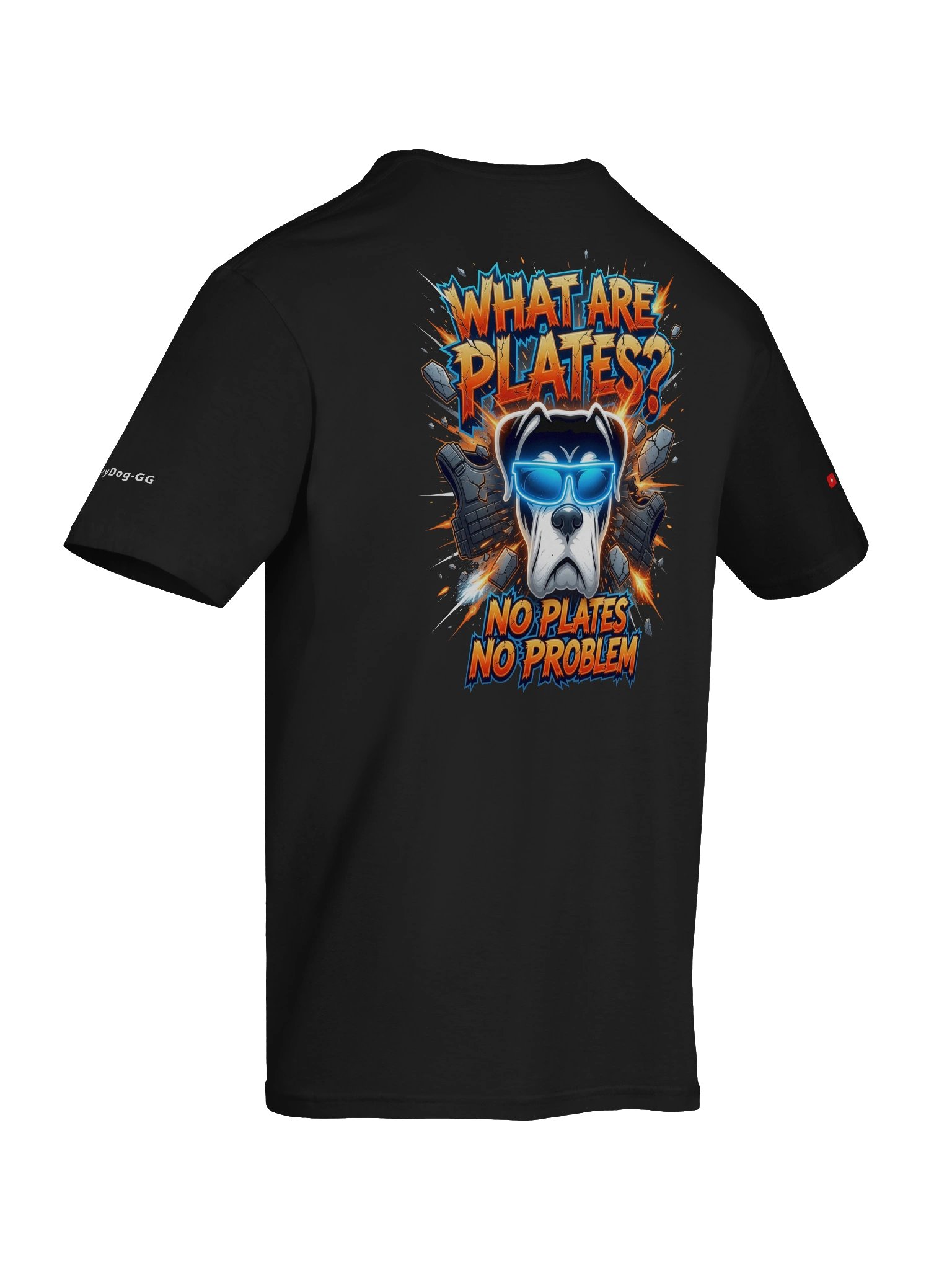 What are Plates? No Plates, No Problem product image (8)