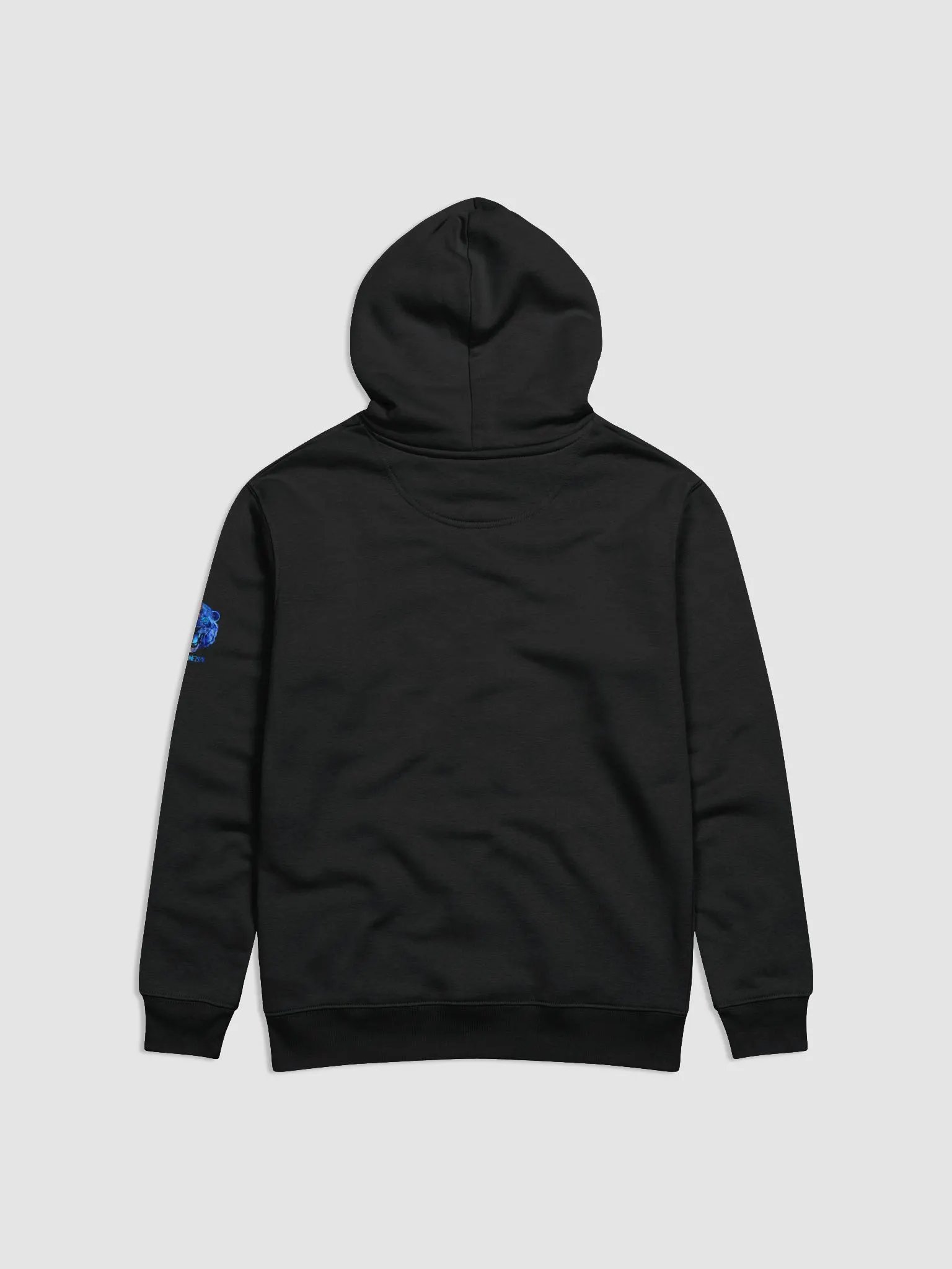 Unisex Hoodie product image (2)
