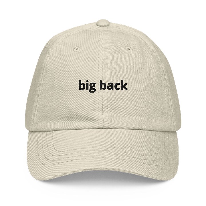 big back hat product image (1)