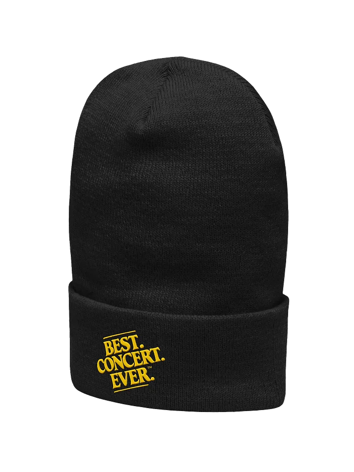 Best. Beanie. Ever. product image (2)